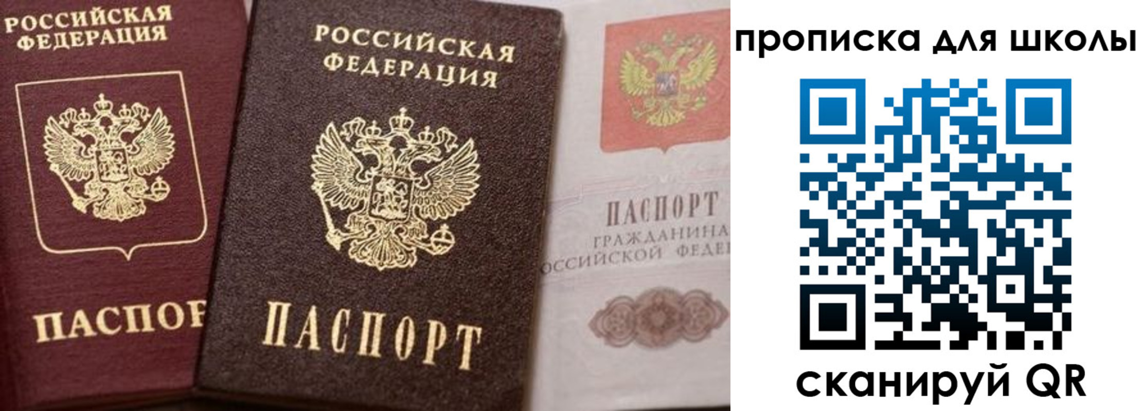 прописка законно в Тынде